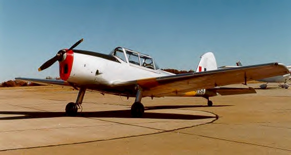 chipmunk-03.jpg