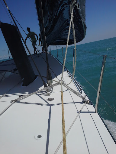 3d-leads-1-jpg.639746