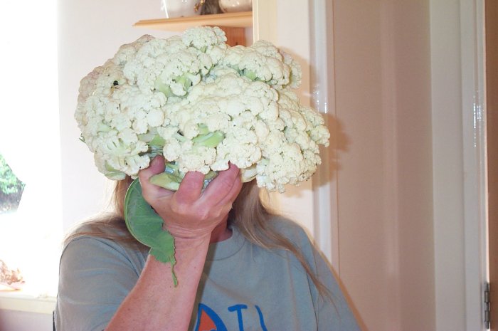 cauli.jpg