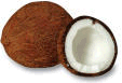 coconut.gif