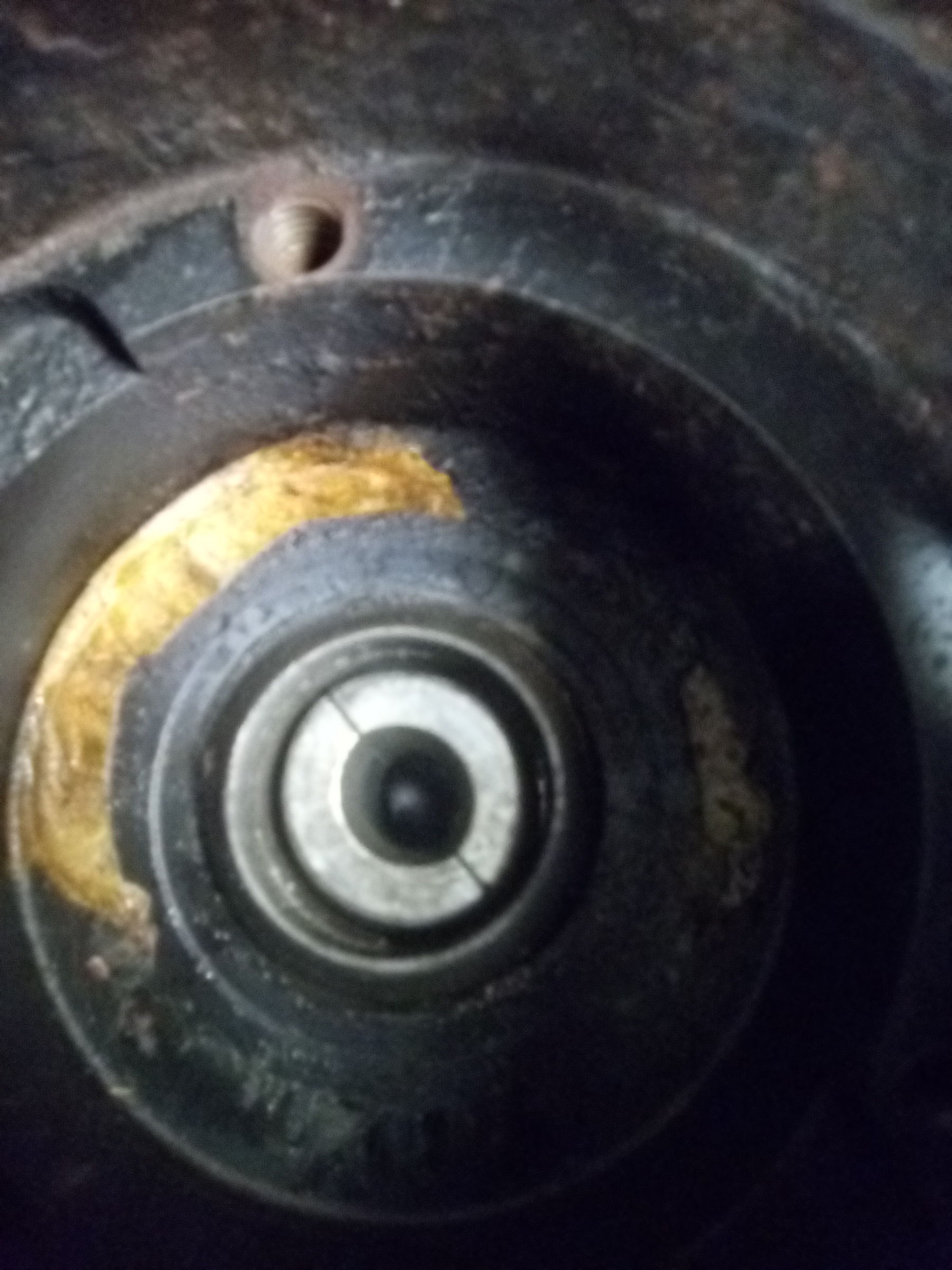 IMG_20200205_103910.jpg IMG_20200205_103910.jpg