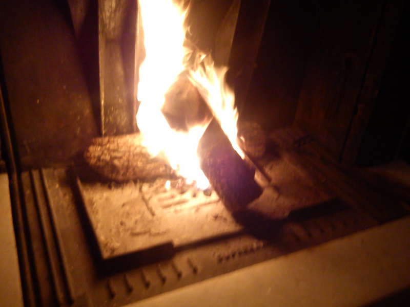 MiToS_on_fireplace.jpg