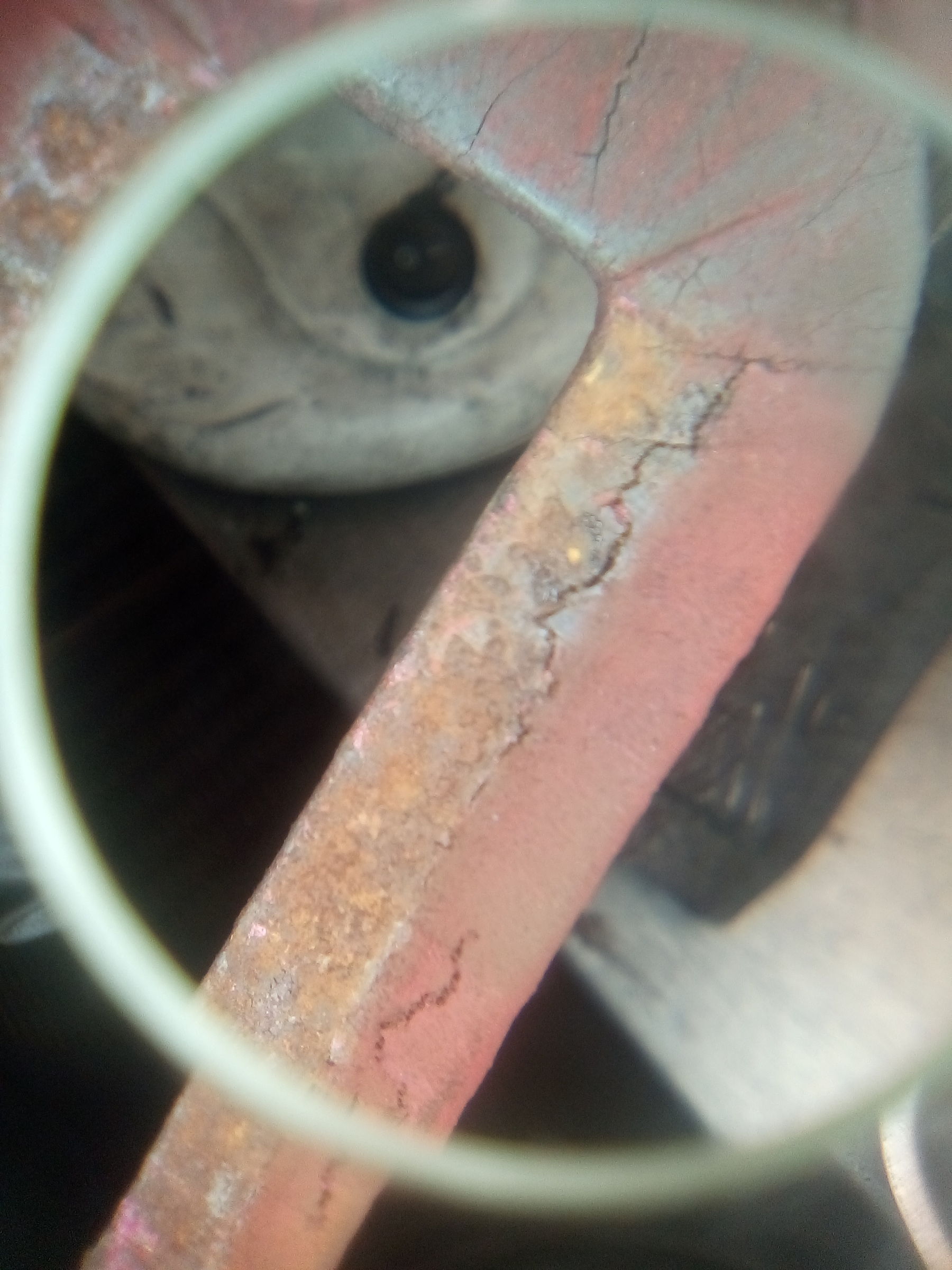 IMG_20200205_105700.jpg IMG_20200205_105700.jpg