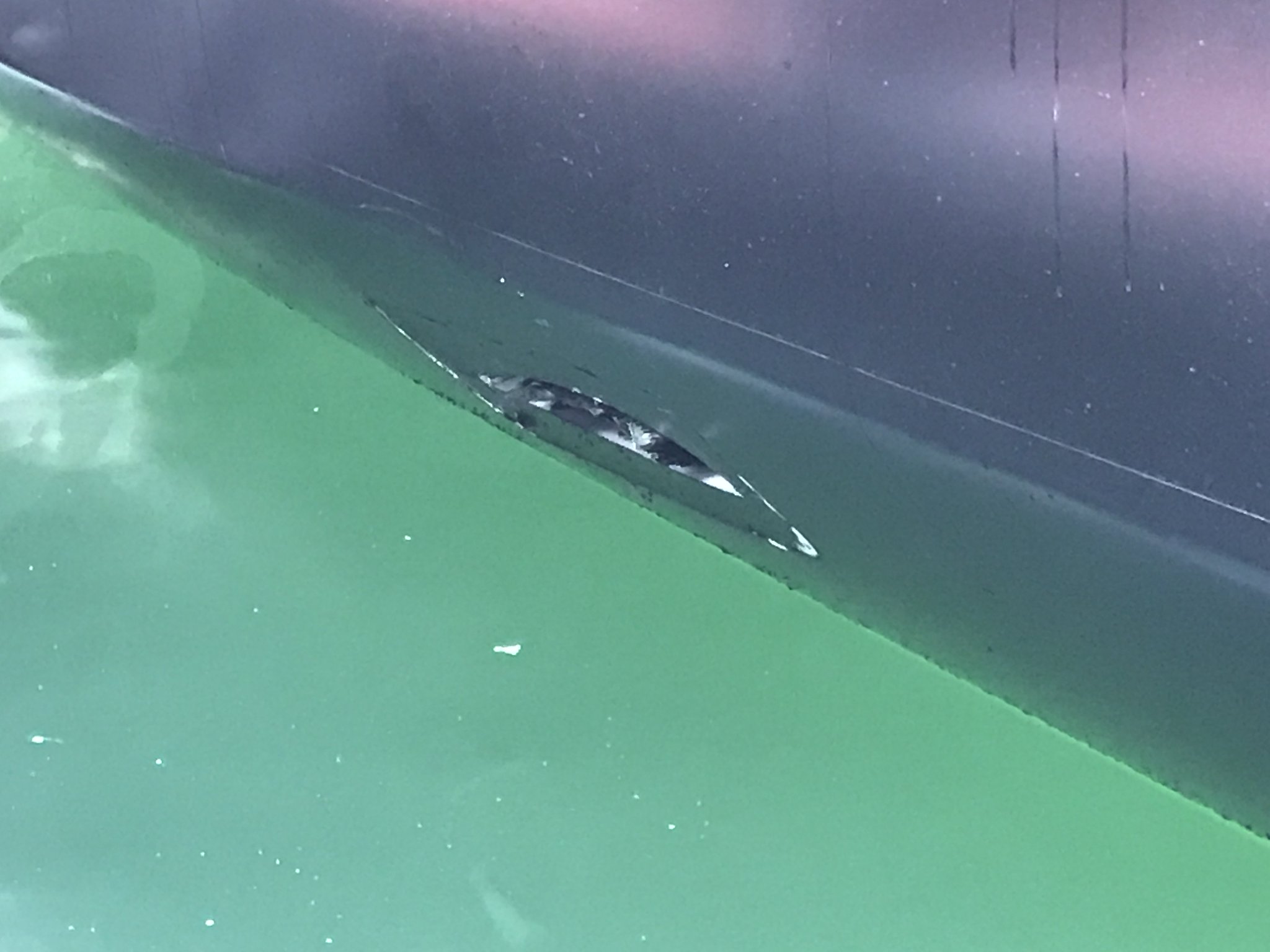 C2mmWhwXAAEZKs8.jpg:large