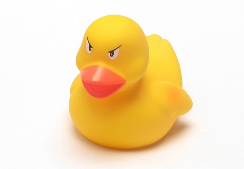 4407f1f2d5ac3e9d897efa04dc8a6da8--rubber-duck-bobby.jpg