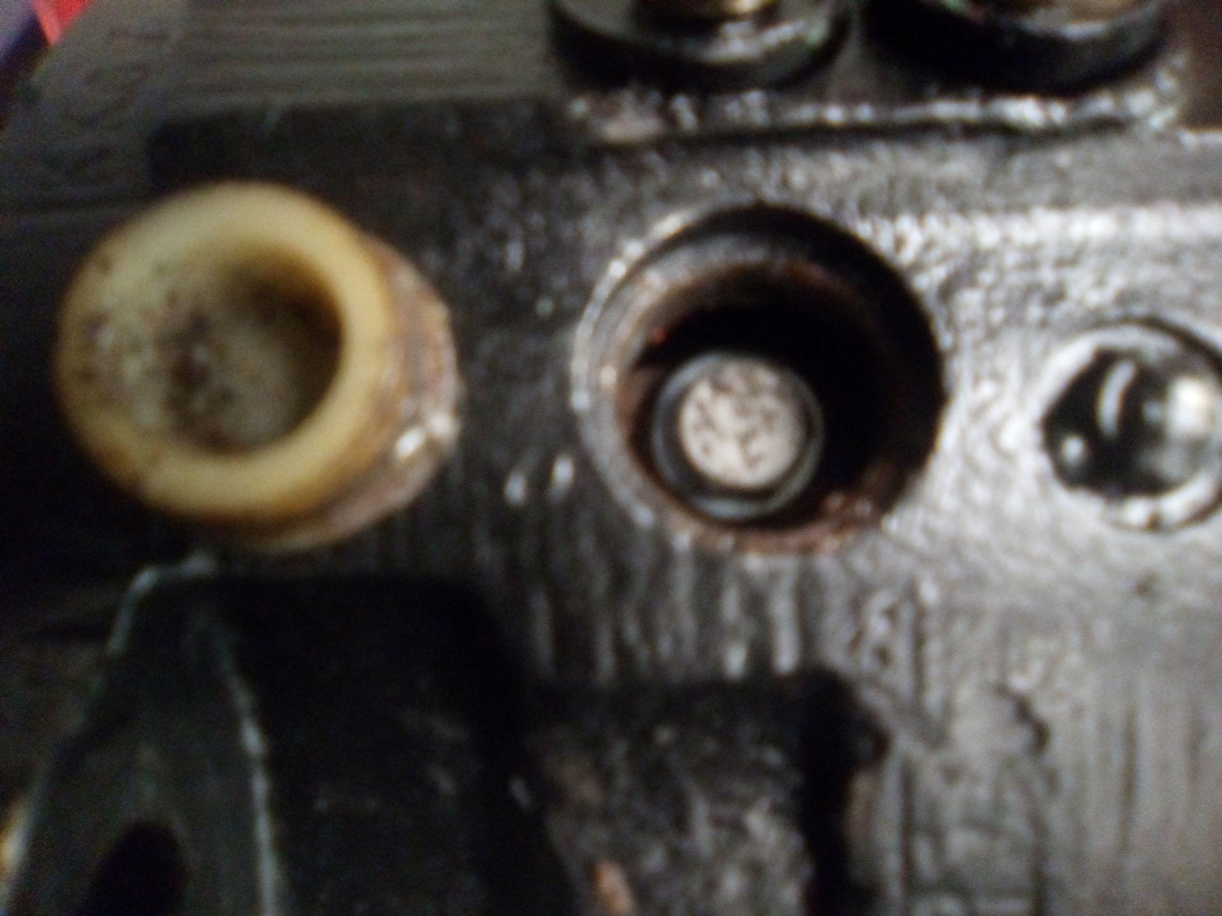 IMG_20200205_093355.jpg IMG_20200205_093355.jpg