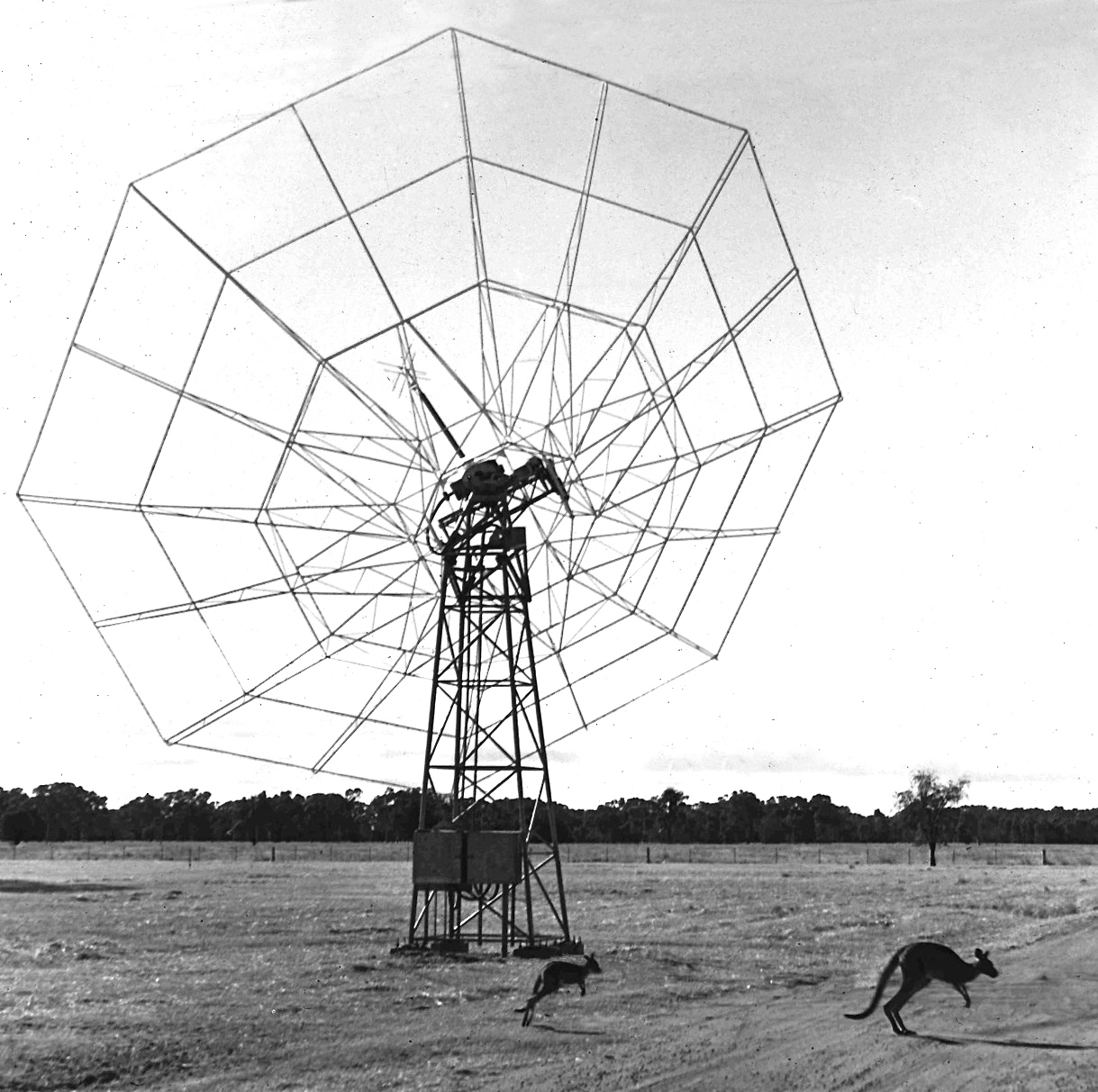 Culgoora_radio-heliograph_antenna,_1970s.jpg