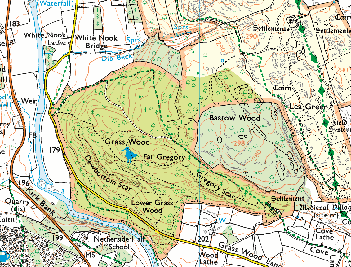 High-definition map image