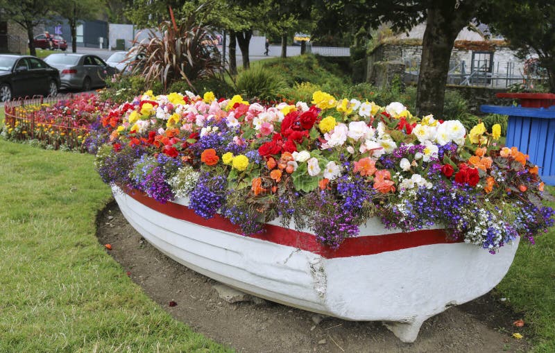 bright-flowers-garden-flower-bed-boat-flower-bed-boat-158189161.jpg