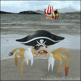 crabpirate.gif