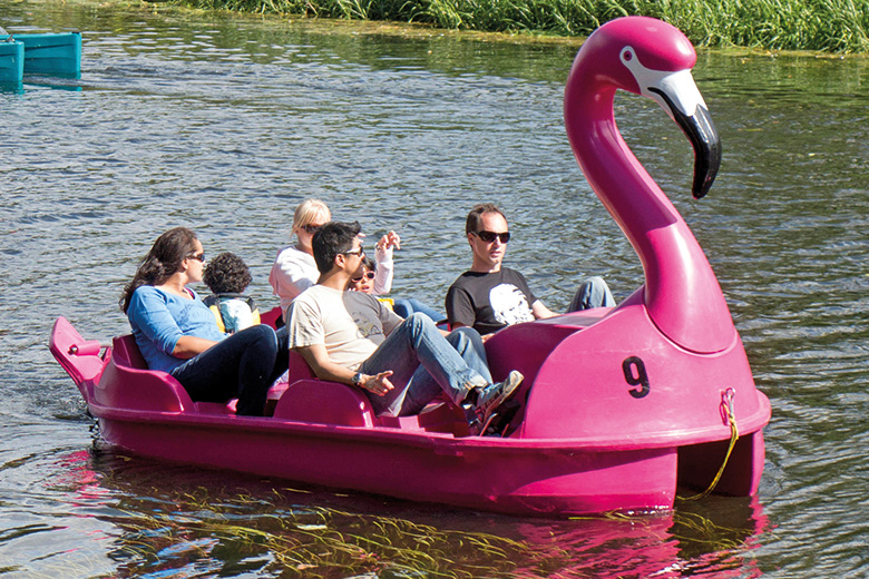 flamingo-pedalo.jpg