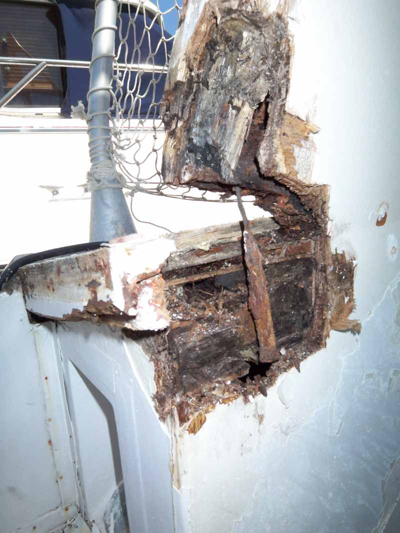 port_rot_damage_2.jpg