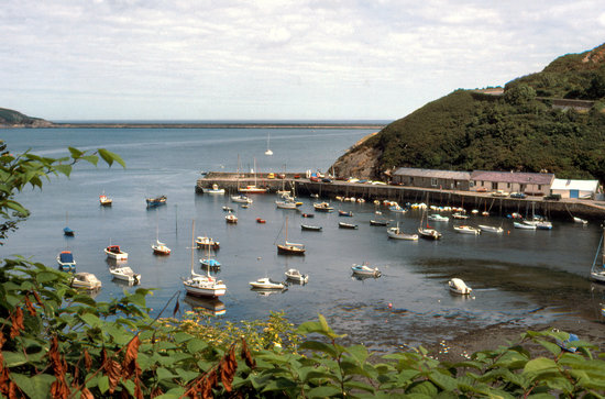 the-harbour-at-lower.jpg