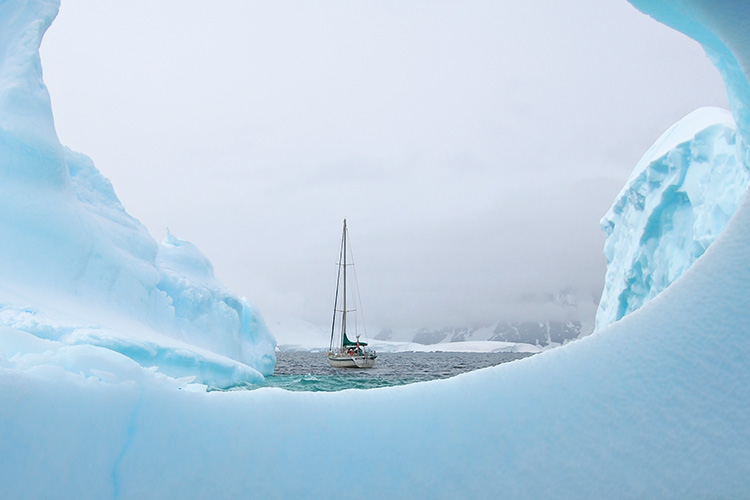 antarctica-iceberg-kiwi-roa.jpg