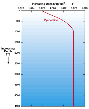 sm_density_depth.jpg