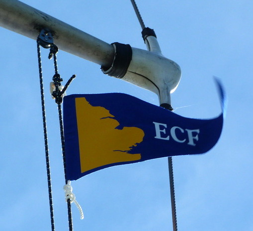ecf_west_web.jpg
