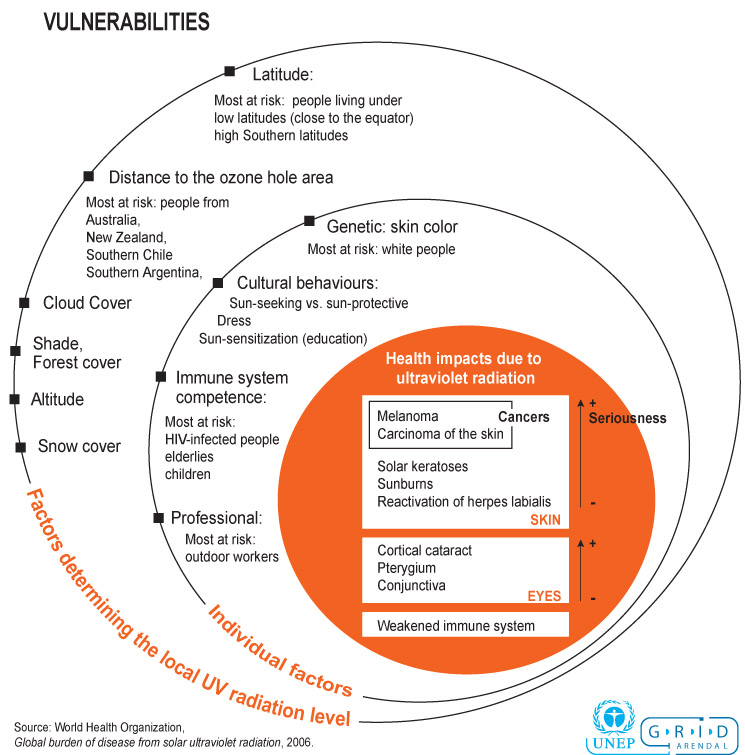 04-Vulnerabilities-schematic.jpg